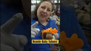 Valuing Beanie Babies - Thrift Shopping by Dr. Lori