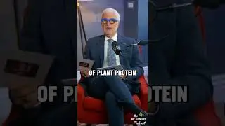 Unlock Your Health Potential with Plant-Based Protein