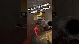 Zombies Wall Weapons in #bf6 🤨 #battlefield6 #battlefield #gaming #shorts #funny #cod