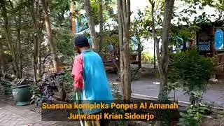 Suasana lingkungan Pondok Pesantren Al Amanah Junwangi Krian Sidoarjo yang rindang dan asri
