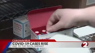 COVID-19 case rise due to Delta Variant