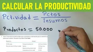 Como calcular la PRODUCTIVIDAD (ejercicio con interpretaci&oacute;n)