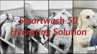 Smartwash 50 Hydrating Solution by Chris Christensen