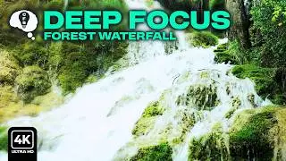 Forest Waterfall 🌊 | 3H Deep Work Ambience for Creative Flow & Productivity [4K]