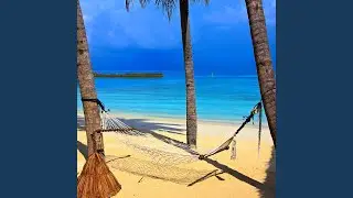 In an Hammock on a Tropical Beach