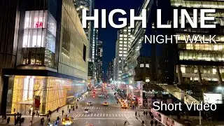 NEW YORK CITY Walking Tour [4K] - THE HIGH LINE ... Night Walk (Short Video)