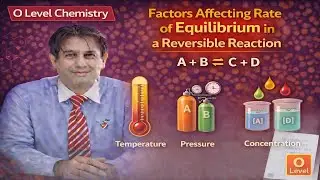 Factors Affecting Rate of Equilibrium in a Reversible Reaction