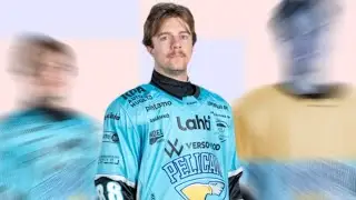 Pelicans: Kettunen & Vanderbeck