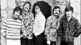 The TURTLES - Anthology including 