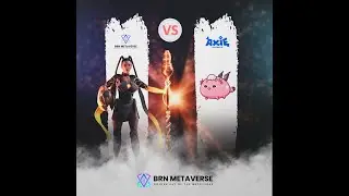 Choose your side in Metaverse! BRN Metaverse or AXS Infinity.  #brnmetaverse #axsinfinity #bitcoin