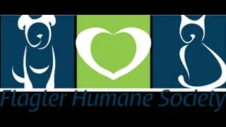 Founder Interview with Flagler Humane Society