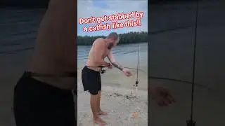 man gets stabbed by a catfish while inshore fishing #pennfishingreels #fishingfails #fails #catfish