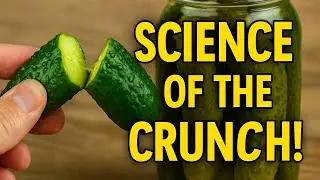 Canning Crispy Pickles: Science of the Crunch!