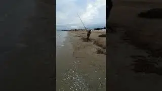 Ground cast Zziplex M4 Gt