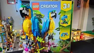 Another Amazing Lego Bird Display! The Lego Creator 3-1 Parrot!