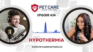 EP 434: Hypothermia in Small Animals &ndash; Emergency Recognition & Management | Pet Care Partners