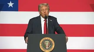 Donald Trump says there 'are two n words and you can't use either of them' during speech to military