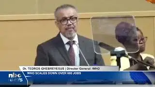 Aid suspension an opportunity for African sovereignty - WHO - nbc