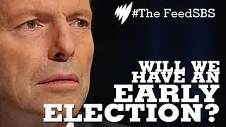 What is a double dissolution election? I The Feed