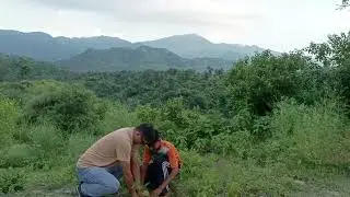 #saveearth#saveenvironment#savetrees #savebirds #savenature#savewater#saveanimals