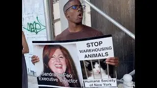 Animal Rights Activists Call on Humane Society of New York Vets to Put a Stop to Animal Warehousing