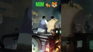 mim tigers 🐅🐯 #mim #mimstatus