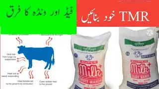 Milk Formulation of Chajjimar Feed