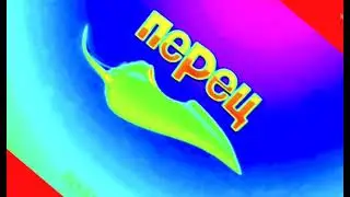 Заставки Перец Май Июнь (2014-2015) I Accidental Major