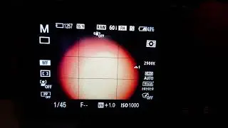 Sony 90MM Macro Focusing Issues & No F-Stop