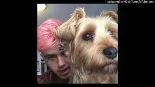 6 Dogs & Lil Peep - Flossing