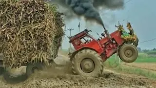 Belarus Tractor Pulling Fail Trailer | Tractor Fail | Tractor Driving Fail 