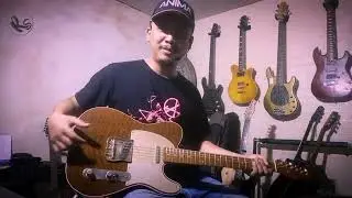 FENDER CUSTOMSHOP WALNUT REPAIRED AT RS GUITARS