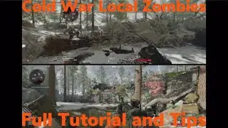 Call Of Duty Cold War Split-Screen Zombies