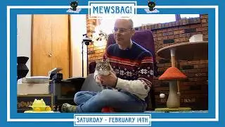 Mewsbag! - Суббота, 14 февраля