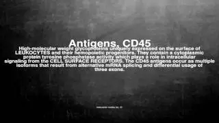 Medical vocabulary: What does Antigens, CD45 mean