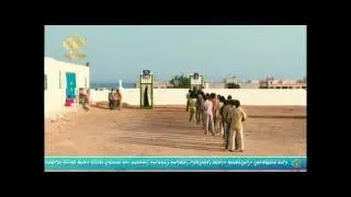 Free elections in Wadiya