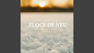 Flocs de neu