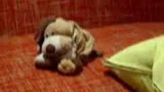 Doofy Dog Episode 1