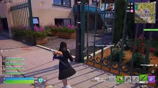Fortnite_20260111184935