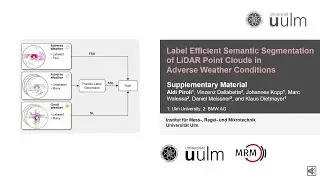 Label-Efficient Semantic Segmentation of LiDAR Point Clouds in Adverse Weather Conditions