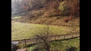 Pesteana Vulcan in November 2025