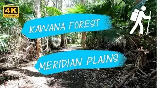 4K UHD Forest Walk Adventure with a Wild Surprise 🐍 | Discover Kawana Forest on the Sunshine Coast!