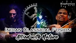 Indian Classical Fusion & Nature | Jack Jennings, Omar Puente, Biophonica | Guitar, Violin, Birdsong