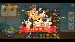 Игра Kitten match 1 часть