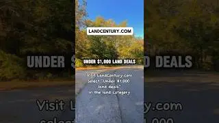 Land deals under $1K #foryou #shorts #land #cheap #deals #promo #forsale #short #viral #fyp #usa