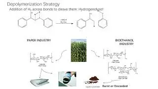 Biomanufacturing using renewable feedstock