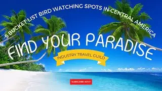 5 Bucket List Bird Watching Spots in Central America