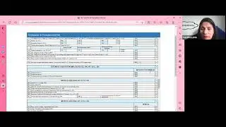 Declaración Formulario 29