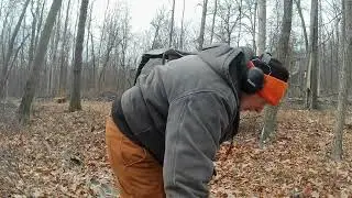 #905 Cutting More Firewood Rounds, And I Overloaded The 610 Mule!