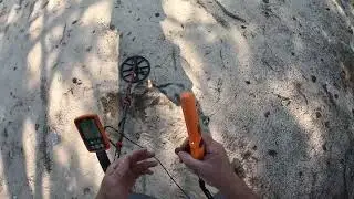 Coin Spill #metaldetecting #parkinglot #coinspill #minelab #treasure #florida #parkmetaldetecting